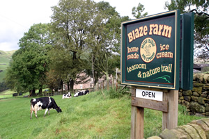 Blaze Farm is open from 10am to 5.30pm all year round, Tuesday to Sunday and also Bank Holiday Mondays.